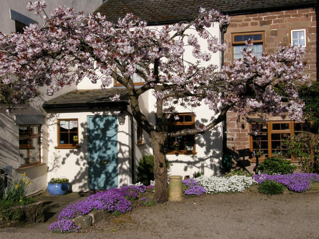 Lea House Bed And Breakfast Ross-on-Wye Exterior foto